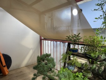 シェード6 901543abf611338ec4253c7002d073fc